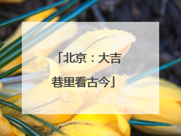 北京：大吉巷里看古今