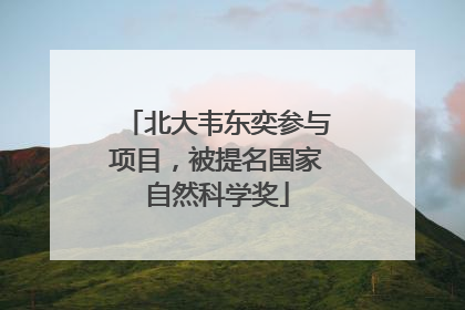 北大韦东奕参与项目，被提名国家自然科学奖