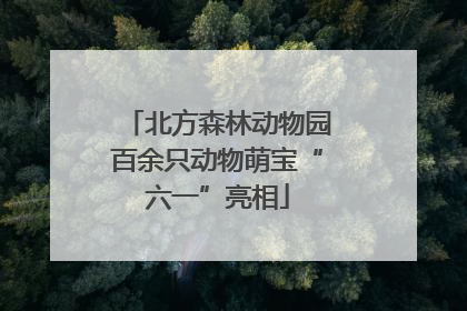 北方森林动物园百余只动物萌宝“六一”亮相