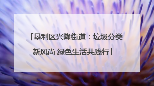 垦利区兴隆街道：垃圾分类新风尚 绿色生活共践行