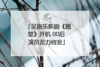 吴施乐新剧《翘楚》开机 00后演员蓄力待发