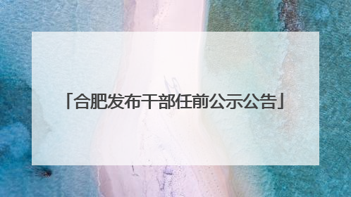 合肥发布干部任前公示公告
