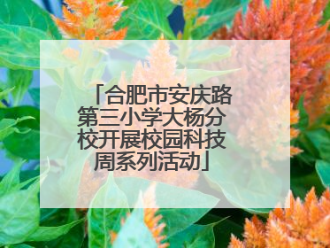 合肥市安庆路第三小学大杨分校开展校园科技周系列活动
