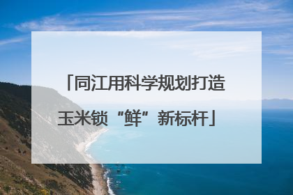同江用科学规划打造玉米锁“鲜”新标杆