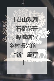 君山观潮｜石榴花开，峄城谱写乡村振兴的“新”篇章
