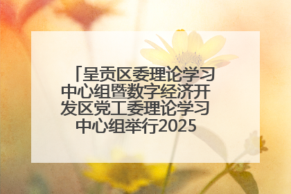 呈贡区委理论学习中心组暨数字经济开发区党工委理论学习中心组举行2025年第七次学习会议