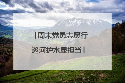 周末党员志愿行 巡河护水显担当