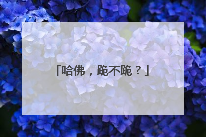 哈佛，跪不跪？