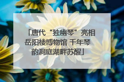 唐代“独幽琴”亮相岳阳楼博物馆 千年琴韵洞庭湖畔苏醒