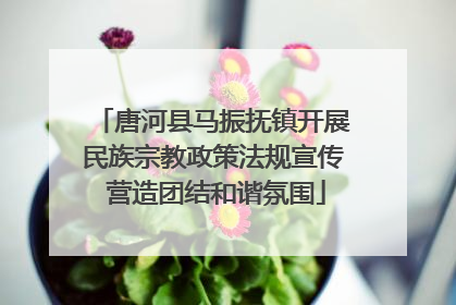 唐河县马振抚镇开展民族宗教政策法规宣传 营造团结和谐氛围