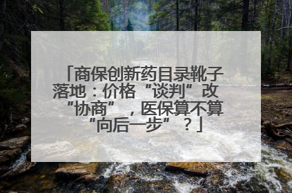 商保创新药目录靴子落地：价格“谈判”改“协商”，医保算不算“向后一步”？