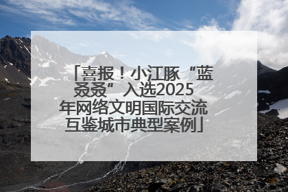 喜报！小江豚“蓝叒叒”入选2025年网络文明国际交流互鉴城市典型案例