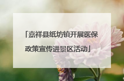 嘉祥县纸坊镇开展医保政策宣传进景区活动