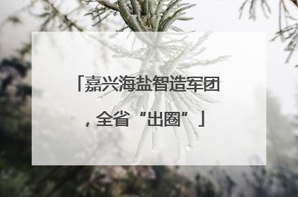 嘉兴海盐智造军团，全省“出圈”