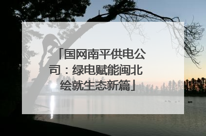 国网南平供电公司：绿电赋能闽北 绘就生态新篇