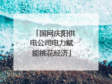 国网庆阳供电公司电力赋能桃花经济