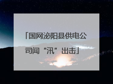 国网泌阳县供电公司闻“汛”出击