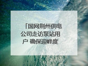国网荆州供电公司走访泵站用户 确保迎峰度夏用电安全