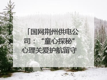 国网荆州供电公司：“童心探秘”心理关爱护航留守儿童成长