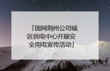 国网荆州公司城区供电中心开展安全用电宣传活动