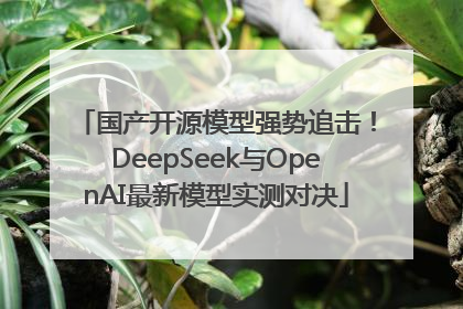 国产开源模型强势追击！DeepSeek与OpenAI最新模型实测对决