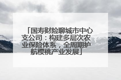 国寿财险聊城市中心支公司：构建多层次农业保险体系，全周期护航樱桃产业发展