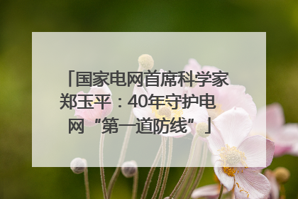 国家电网首席科学家郑玉平：40年守护电网“第一道防线”