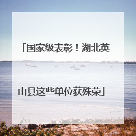 国家级表彰！湖北英山县这些单位获殊荣