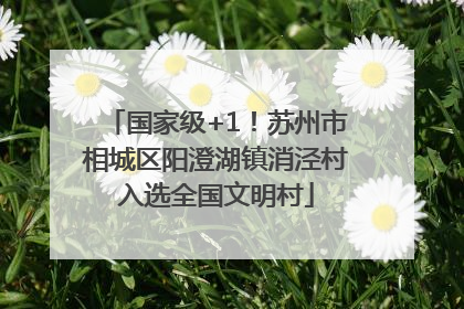 国家级+1!苏州市相城区阳澄湖镇消泾村入选全国文明村
