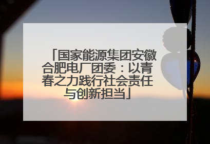 国家能源集团安徽合肥电厂团委：以青春之力践行社会责任与创新担当