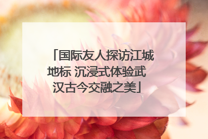 国际友人探访江城地标 沉浸式体验武汉古今交融之美