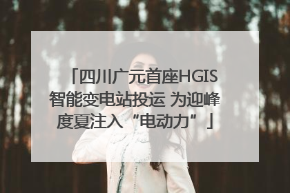 四川广元首座HGIS智能变电站投运 为迎峰度夏注入“电动力”