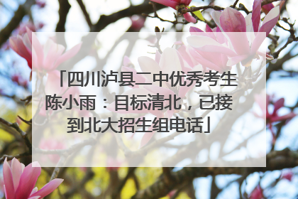 四川泸县二中优秀考生陈小雨：目标清北，已接到北大招生组电话
