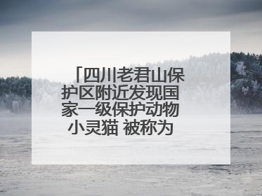 四川老君山保护区附近发现国家一级保护动物小灵猫 被称为“生态试纸”