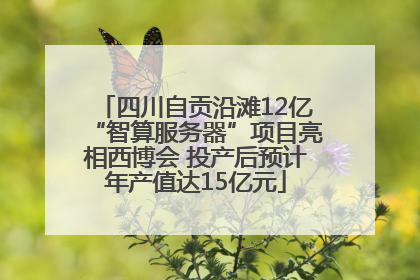 四川自贡沿滩12亿“智算服务器”项目亮相西博会 投产后预计年产值达15亿元
