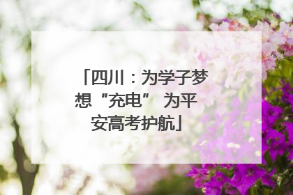 四川：为学子梦想“充电” 为平安高考护航