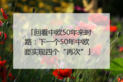 回看中欧50年来时路：下一个50年中欧要实现四个“再次”