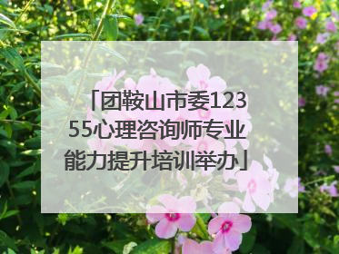 团鞍山市委12355心理咨询师专业能力提升培训举办