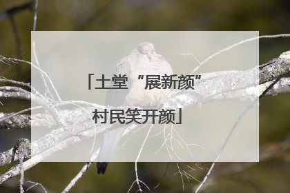 土堂“展新颜” 村民笑开颜