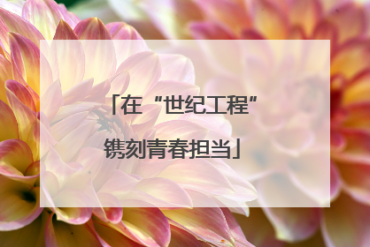 在“世纪工程”镌刻青春担当