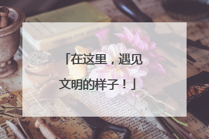 在这里，遇见文明的样子！