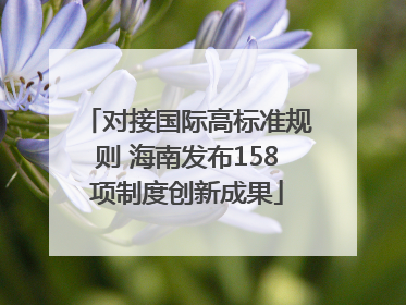 对接国际高标准规则 海南发布158项制度创新成果