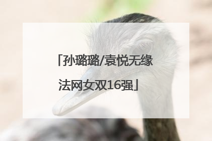 孙璐璐/袁悦无缘法网女双16强