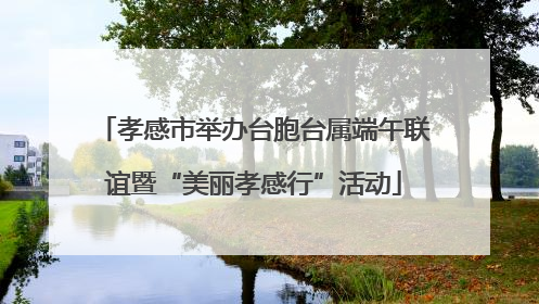 孝感市举办台胞台属端午联谊暨“美丽孝感行”活动