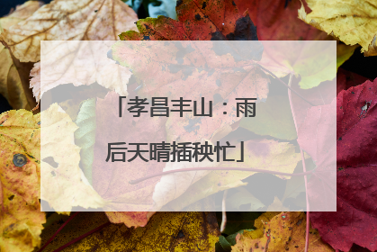 孝昌丰山：雨后天晴插秧忙