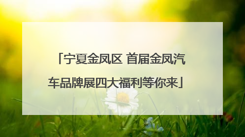 宁夏金凤区 首届金凤汽车品牌展四大福利等你来