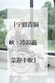 宁夏青铜峡：冷凉蔬菜迎丰收