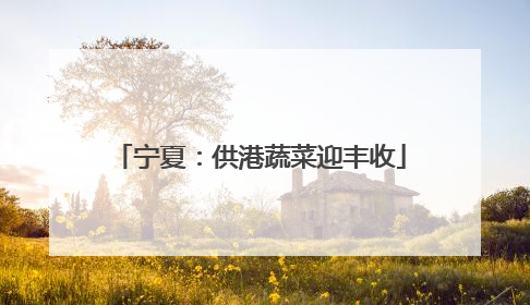 宁夏：供港蔬菜迎丰收