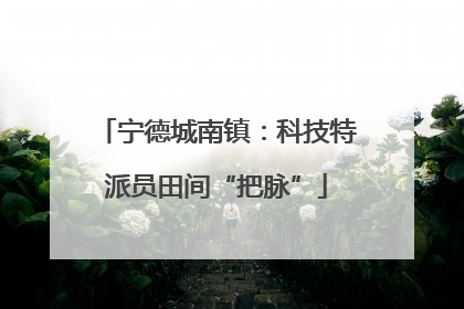 宁德城南镇：科技特派员田间“把脉”