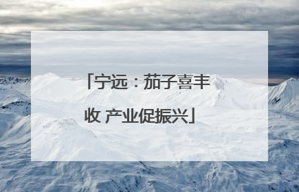 宁远：茄子喜丰收 产业促振兴